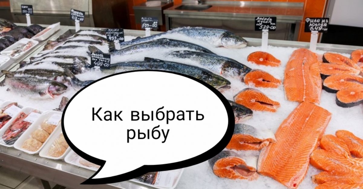 Почему Нет Рыбы В Магазинах