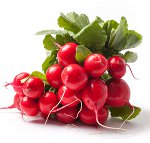 Bunch of fresh red radishes isolated on white background