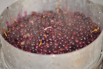Ягоды винограда варятся в соковарке для получения сока