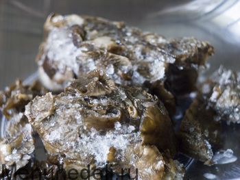 Постный паштет из фасоли с грибами — рецепт с фото пошагово. Как приготовить паштет из белой фасоли с грибами?