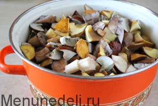 Лучшие рецепты приготовления солянки с грибами на зиму и хранение заготовок