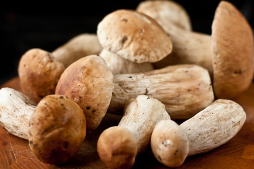 Как приготовить белые грибы: 20 отличных рецептов на любой вкус