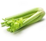 celery on white